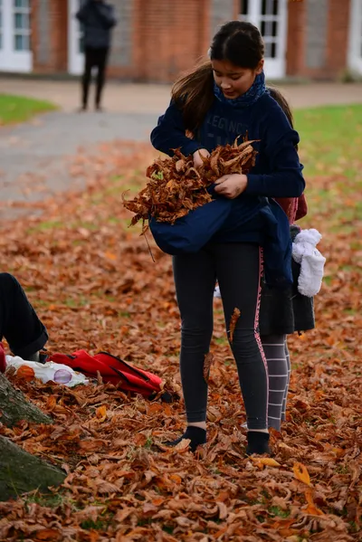 DSC_0475 (Large).JPG